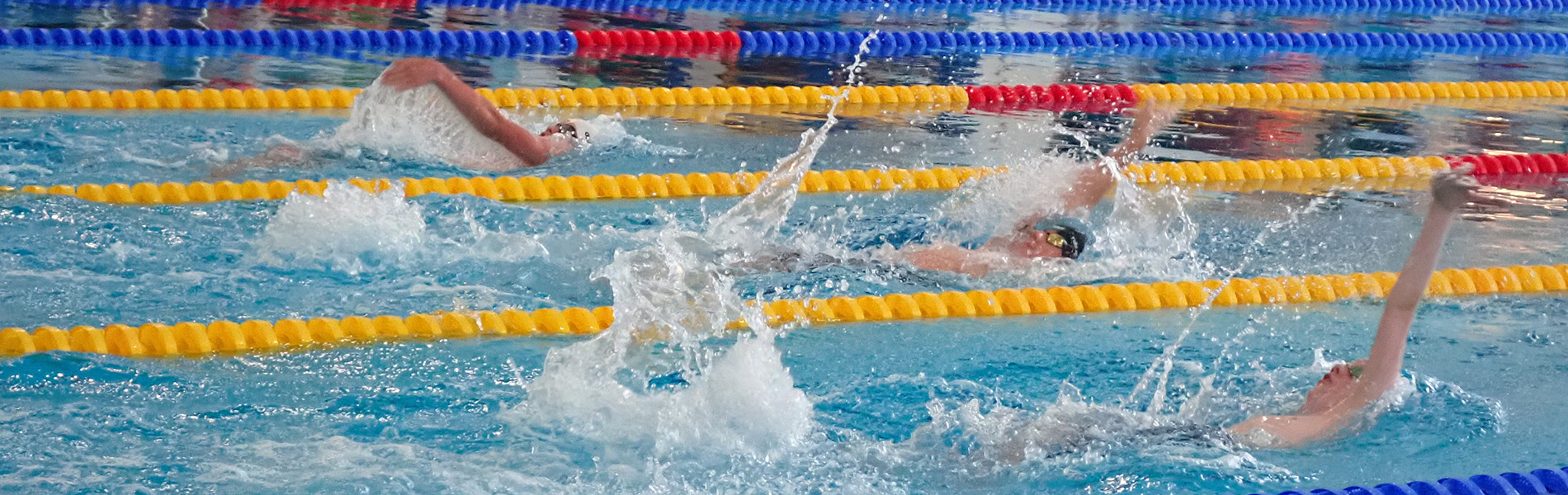 De rugslag tijdens de Speedo Jaargangfinale 2024